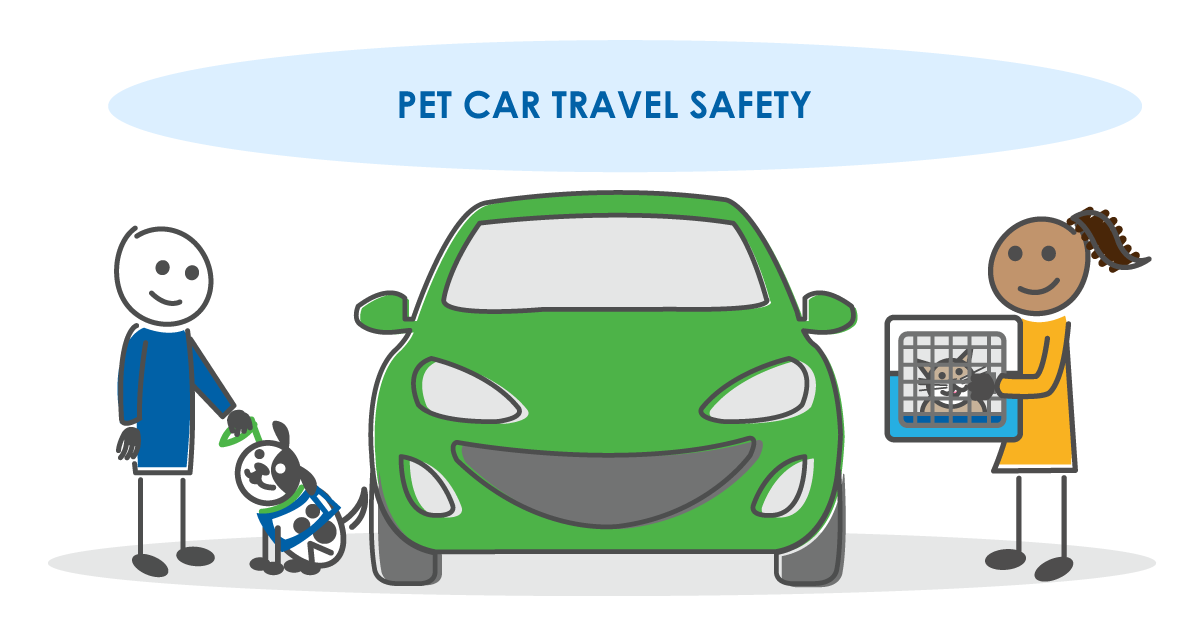 How to travel safely with a pet in your car